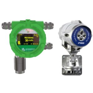 Flame & Gas Detection System